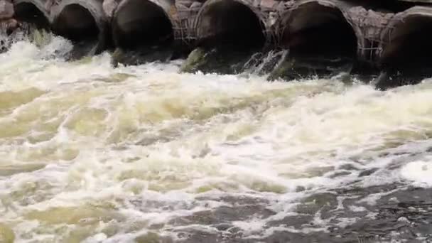 排污管 排污管通过排污管排污管排入河流的混凝土管子对环境和水体的污染 生态多样性 有害废水 — 图库视频影像