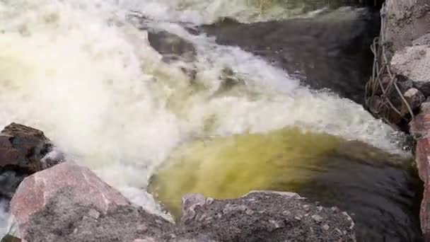 Una Tubería Hormigón Que Lleva Aguas Residuales Malolientes Contaminadas Río — Vídeos de Stock