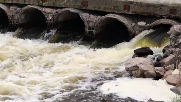 Znečištění Životního Prostředí Přírodní Katastrofa Vypouštění Znečištěné Odpadní Vody Řeky — Stock video