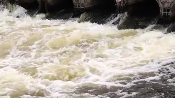 Contaminación Ambiental Desastre Ambiental Descarga Aguas Residuales Contaminadas Río Tuberías — Vídeos de Stock