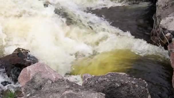 Pollution Environnement Catastrophe Environnementale Rejet Eaux Usées Polluées Dans Rivière — Video