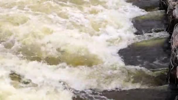 Забруднення Навколишнього Середовища Екологічна Катастрофа Викид Забруднених Стічних Вод Річку — стокове відео