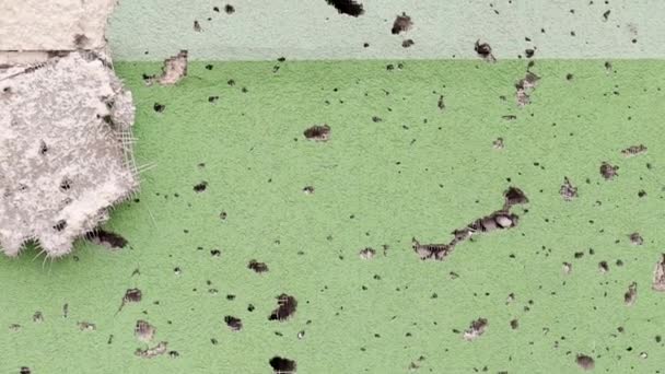 フロントラインの壁に弾丸と破片から穴 戦争の傷跡 銃撃からの穴や穴を持つ住宅の建物のコンクリート壁 ウクライナでの戦争の結果 — ストック動画