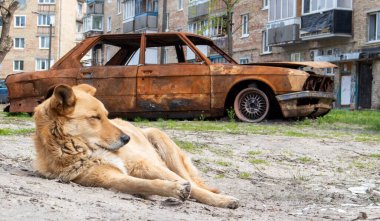 Topçu ateşiyle vurulan kırık bir Ukrayna sivil arabası yıkılmış bir evin avlusunda duruyor. Rusya ve Ukrayna arasındaki savaş. Terk edilmiş bir arabanın enkazı.