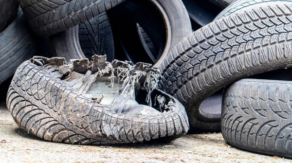 黒い古い車のタイヤの山からゴミ 環境汚染 生態学的問題 古い車のタイヤはリサイクルのための産業埋め立て地に投げ込まれた 摩耗したゴムタイヤの再利用 — ストック写真
