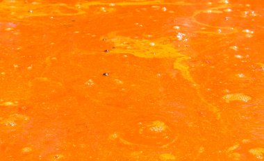 Makarnalı domates çorbası bir Polonya mutfağıdır. Sıcak Zupa pomidorowa bir yemek fuarındaki mutfak alanında büyük bir kazanda. Kendi sularında rendelenmiş domateslerden yapılan popüler bir çorba.