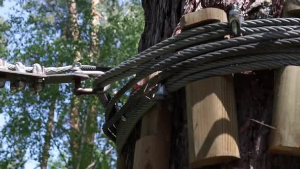 Ein Seil Das Einen Baum Gewickelt Ist Mit Einem Karabiner — Stockvideo