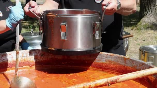 Sopa Tomate Con Pasta Plato Polaco Zupa Pomidorowa Sopa Caliente — Vídeos de Stock