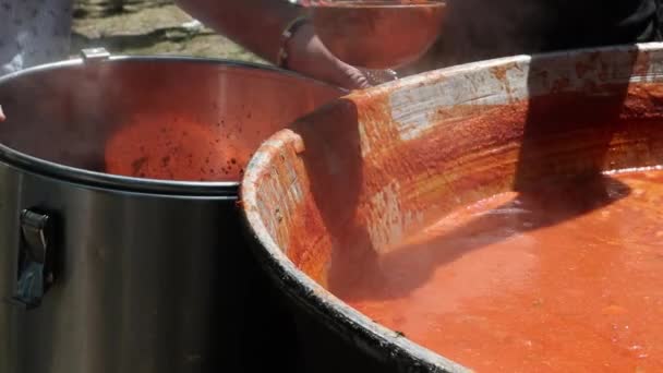 Sopa Tomate Con Pasta Plato Cocina Polaca Hot Zupa Pomidorowa — Vídeos de Stock