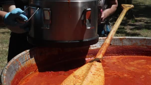 Tomatensoep Met Pasta Een Pools Gerecht Zupa Pomidorowa Warme Soep — Stockvideo
