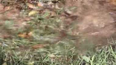 Yakın çekim temiz su kanalizasyona akıyor.