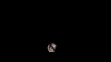 Yakın çekim video görüntüleri, bir ağacın gölgesinin hızlandırılmış videosu tüm boyutlardaki parlak bir ay üzerinde, Gece Görüşü doğa