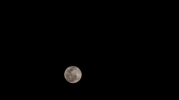 Time Lapse Video Wschodzie Księżyca Nocy Indie — Wideo stockowe