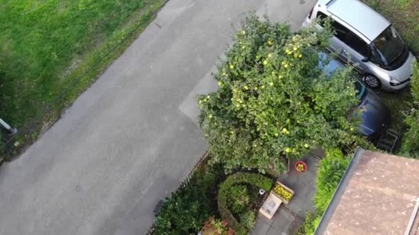 마당에서 상자에 과일의 나무의 항공기 — 비디오