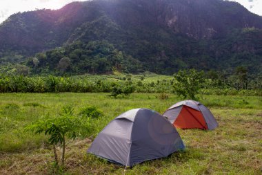 Kamboçya 'nın kuzeyinde, dağ ormanının yakınında kamp ve çadır.