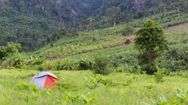 Kamboçya 'nın kuzeyinde, dağ ormanının yakınında kamp ve çadır.