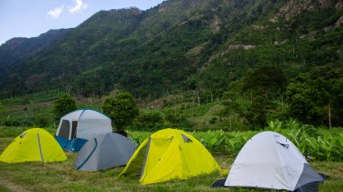 Kamboçya 'nın kuzeyinde, dağ ormanının yakınında kamp ve çadır.