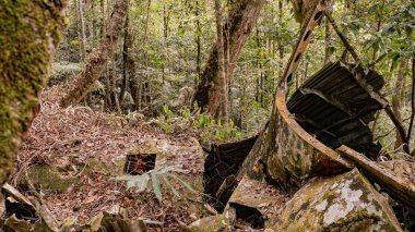Düşen küçük bir yolcu uçağının enkazı. Uçak yere düştü..