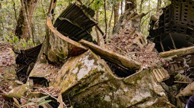Düşen küçük bir yolcu uçağının enkazı. Uçak yere düştü..