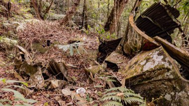 Düşen küçük bir yolcu uçağının enkazı. Uçak yere düştü..