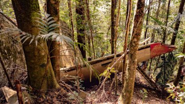 Düşen küçük bir yolcu uçağının enkazı. Uçak yere düştü..