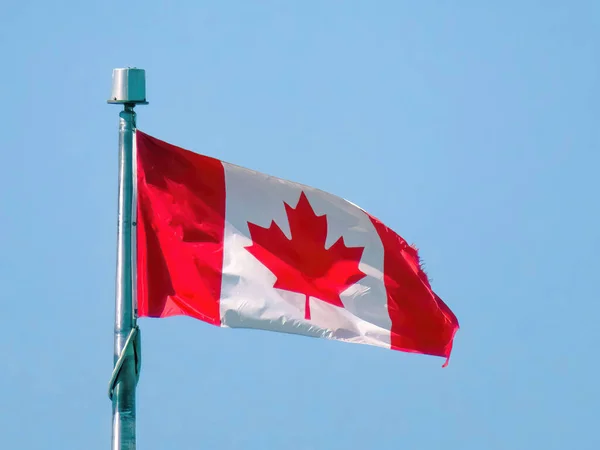 Uma Bandeira Canadense Acenando Pelo Vento — Fotografia de Stock