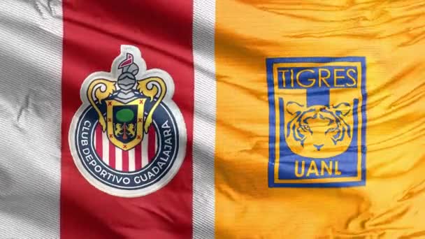 Zapopan Jalisco Messico Maggio 2023 Bandiera Sventolante Con Logo Club — Video Stock