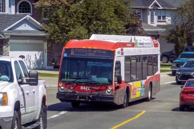 Calgary, Alberta, Kanada. 8 Haziran 2023. Baharda bir Calgary transit otobüsü..