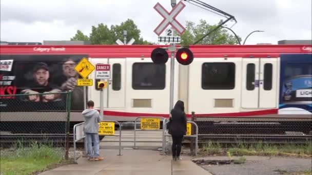 カルガリー アルバータ州 カナダ 2023年6月9日 春の間に列車のレールを横断するのを待っている人々とカルガリーの移動C列車 — ストック動画