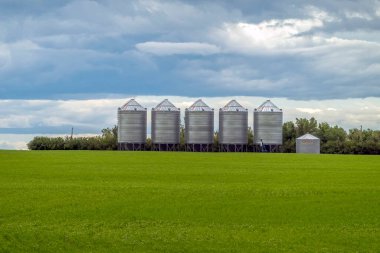 Lethbridge, Alberta, Kanada 'daki bir tarım tesisinde tarım tahıl ambarları..