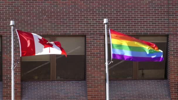 Lethbridge Alberta Canadá Junio 2023 Canadá Ondeando Una Bandera Orgullo — Vídeos de Stock