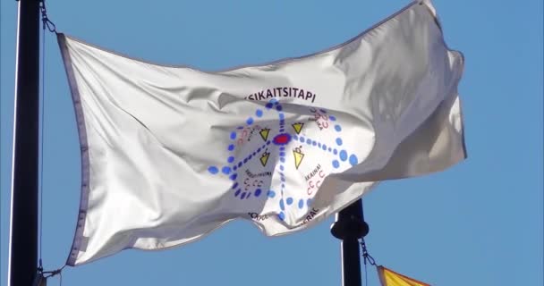 Lethbridge Alberta Καναδάς Ιουν 2023 Μια Σημαία Της Ομοσπονδίας Μαυροπόδαρου — Αρχείο Βίντεο