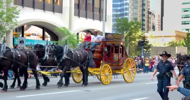 Calgary Alberta Canada Jul 2023 Couple People Driving Chuckwagon Carriage — Stock Video