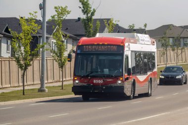Calgary, Alberta, Canada. July 20, 2023. A Calgary Transit Bus on the route during summer.