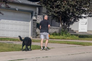 Calgary, Alberta, Kanada. 26 Temmuz 2023. Yaz boyunca bir köpekle kaldırımda yürüyen bir kişi. Tasmalı bir köpekle yürümek.