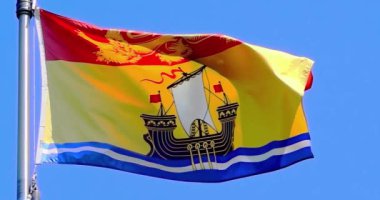 New Brunswick 'in el sallayan bayrağı, üst üçüncüdeki kırmızı bir arazide bulunan altın bir aslan pasından ve alttaki mavi ve beyaz dalgalı çizgilerin üzerindeki lenf beziyle tahrip edilmiş bir altın alanından oluşur..