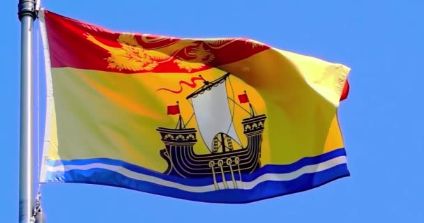 Uma Bandeira Ondulante New Brunswick Consiste Leão Dourado Passante Campo — Vídeo de Stock