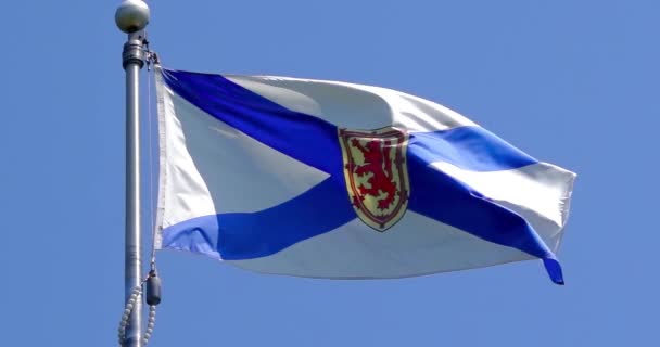 Vlnící Vlajka Nového Skotska Skládá Modré Slané Pneumatiky Bílém Poli — Stock video