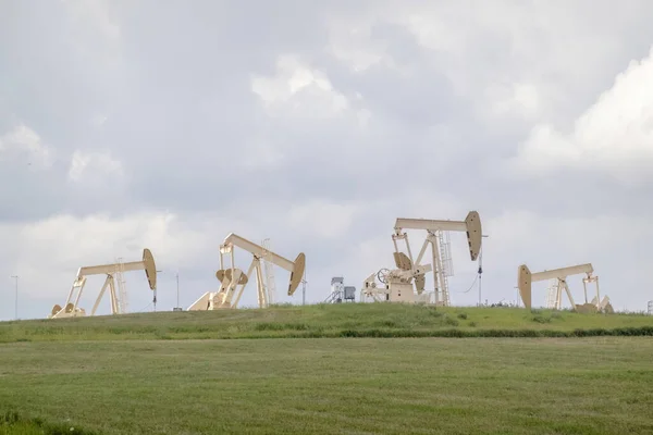 Several crude oil production wells, a site with pump jacks in a rural area during summer in Alberta Canada. Concept: Oil and gas emissions