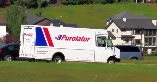Calgary Alberta Canada Aug 2023 Purolator Delivery Truck Route Hot — Stock Video
