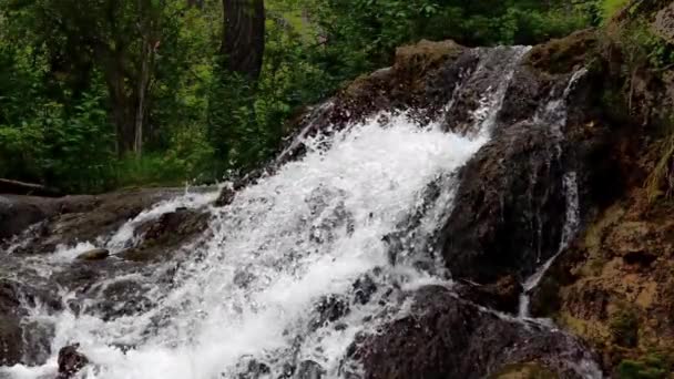 Великий Пагорб Пружини Провінційний Парк Потужний Водоспад Повільний Рух Струмок — стокове відео