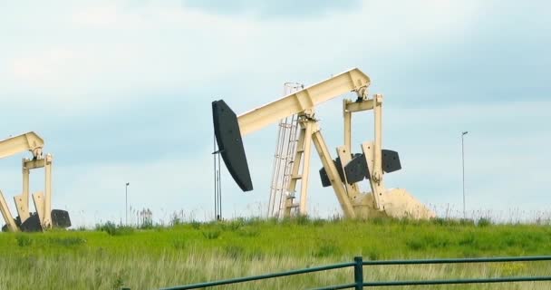 加拿大艾伯塔省的一个原油生产井 这是一个夏天在农村地区有水泵孔的地方 — 图库视频影像