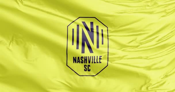 Nashville Tennessee Usa Augusti 2023 Viftande Flagga Nashville Soccer Club — Stockvideo