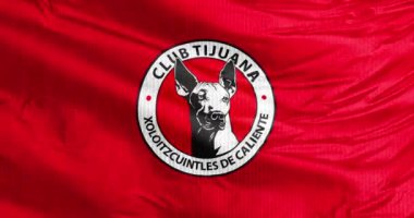Tijuana, Meksika. 31 Ağustos 2023. Tijuana Xoloitzcuintles ya da Xolos kulübünün sallanan bayrağı, Tijuana merkezli bir Meksika profesyonel futbol kulübü.. 
