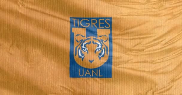 新莱昂 墨西哥 2023年8月31日墨西哥职业橄榄球队Tigres Uanl的一面摇旗呐喊的旗帜 参加Liga Mx的比赛 — 图库视频影像