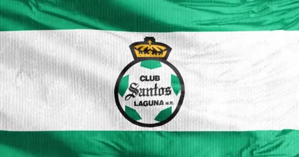 科阿韦拉 墨西哥2023年8月31日墨西哥职业足球俱乐部Santos Laguna的一面飘扬的旗帜 该俱乐部参加Liga Mx的比赛 — 图库视频影像