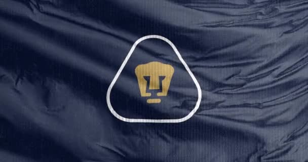 墨西哥城 墨西哥 2023年8月31日位于墨西哥城城市大学的职业足球俱乐部全国大学俱乐部 Pumas 的一面摇旗呐喊的旗帜 — 图库视频影像