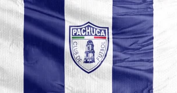 Pachuca Hidalgo 墨西哥 2023年8月31日墨西哥职业足球队Pachuca足球俱乐部的一面飘扬的旗帜 参加Liga Mx的比赛 — 图库视频影像