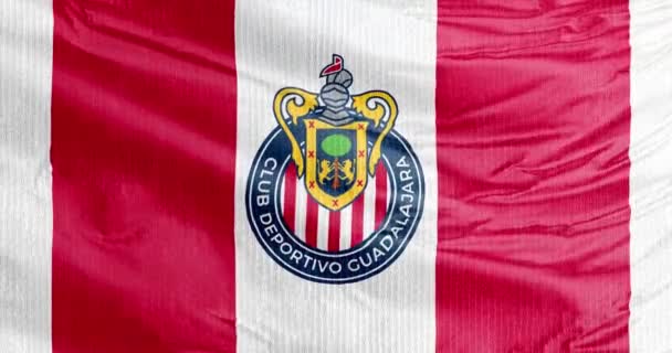 Guadalajara Jalisco México Ago 2023 Una Bandera Ondeante Del Guadalajara — Vídeo de stock