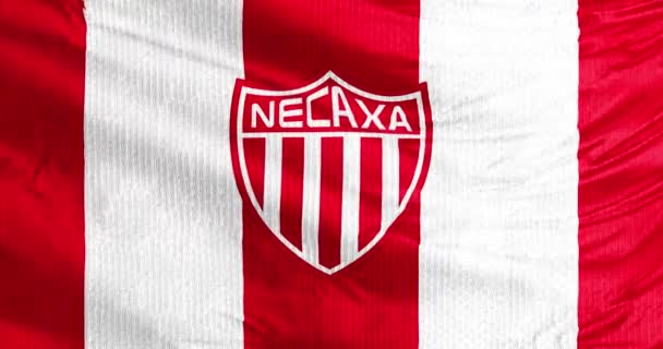 墨西哥阿瓜斯卡连特斯2023年8月31日墨西哥职业足球俱乐部Liga Mx的一面飘扬的Necaxa旗帜 它在维多利亚体育场表演 — 图库视频影像